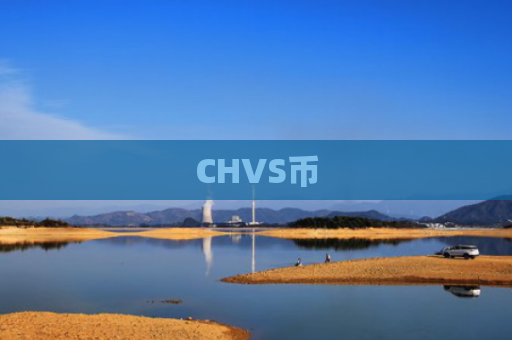 CHVS币