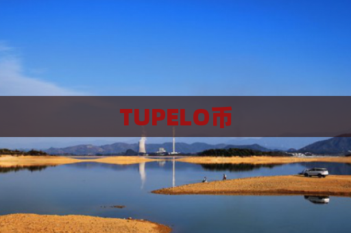 TUPELO币