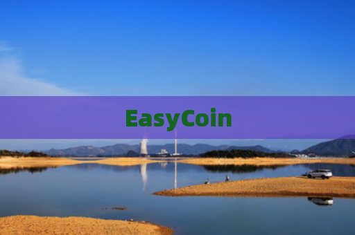 EasyCoin-图1