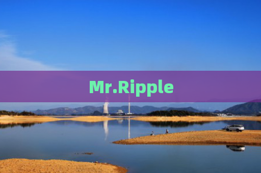 Mr.Ripple-图1