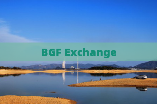 BGF Exchange