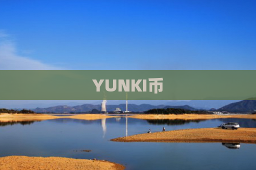 YUNKI币