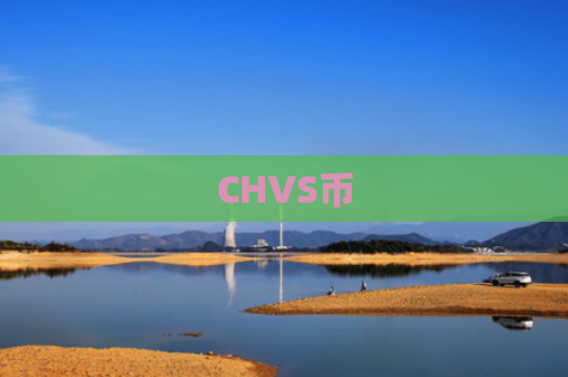 CHVS币-图1
