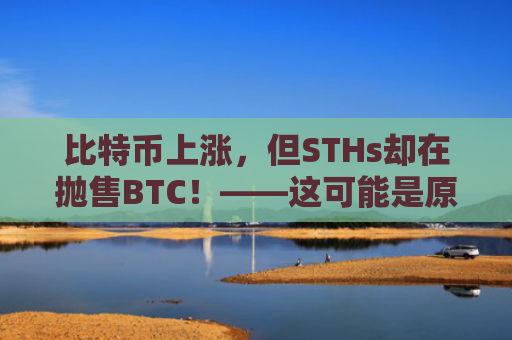比特币上涨，但STHs却在抛售BTC！——这可能是原因-图1