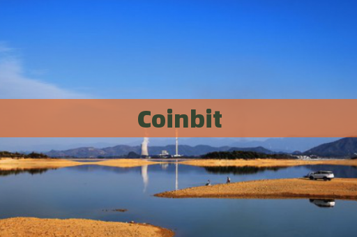 Coinbit-图1