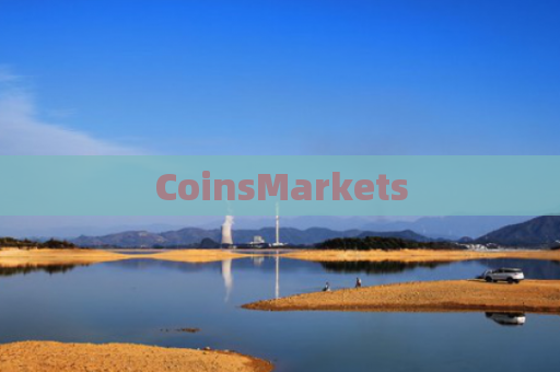 CoinsMarkets