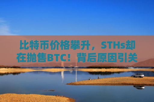 比特币价格攀升，STHs却在抛售BTC！背后原因引关注-图1