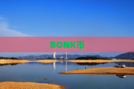 BONK币-图1