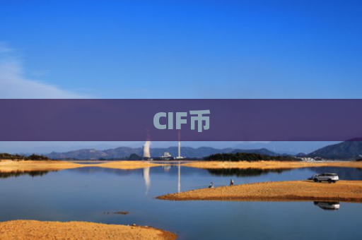 CIF币