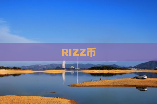RIZZ币