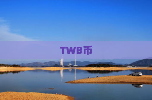 TWB币