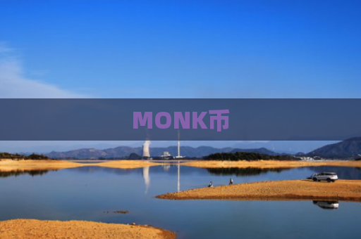 MONK币