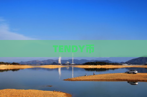 TENDY币
