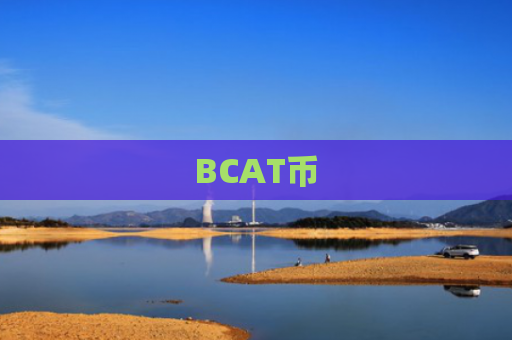 BCAT币