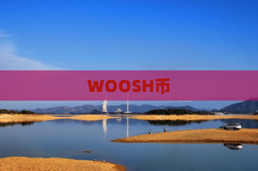 WOOSH币-图1