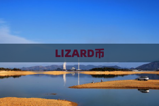 LIZARD币