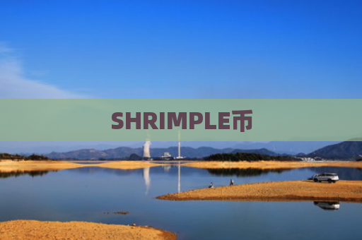 SHRIMPLE币-图1