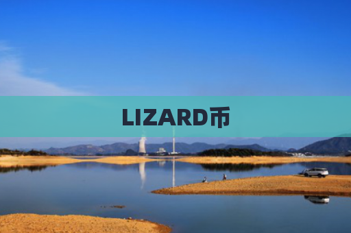 LIZARD币-图1
