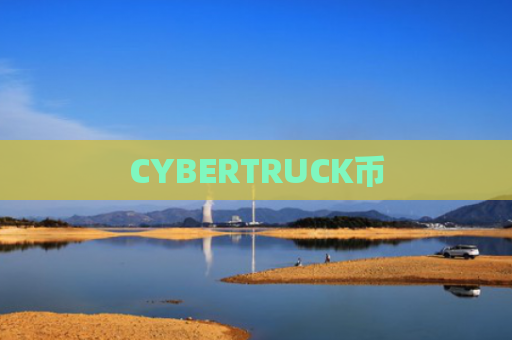 CYBERTRUCK币-图1