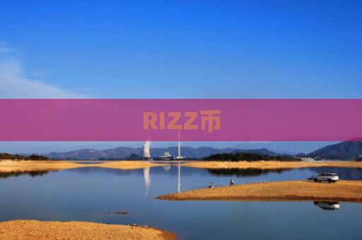 RIZZ币