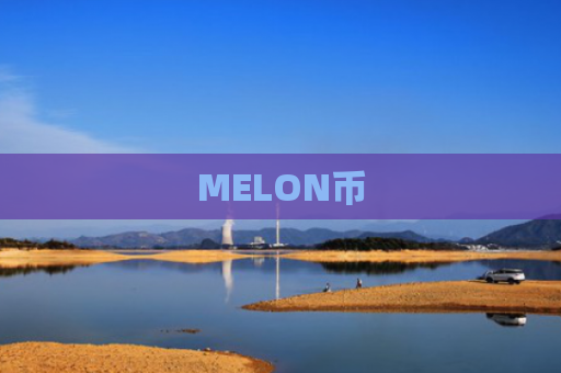 MELON币