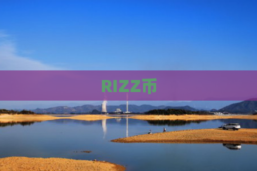 RIZZ币