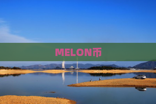 MELON币
