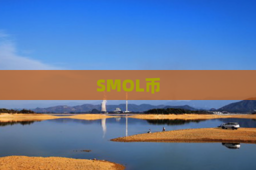 SMOL币-图1
