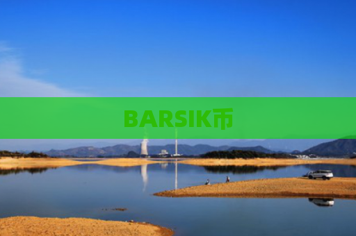 BARSIK币
