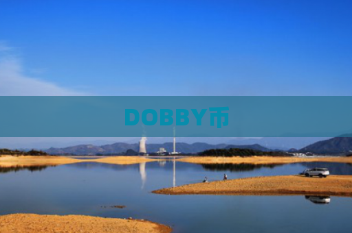 DOBBY币