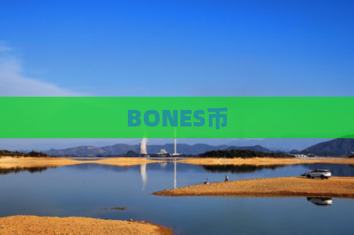 BONES币