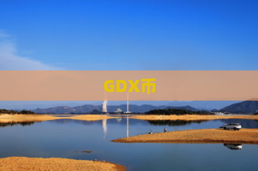 GDX币
