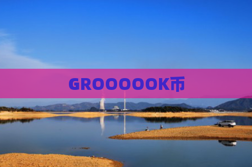 GROOOOOK币