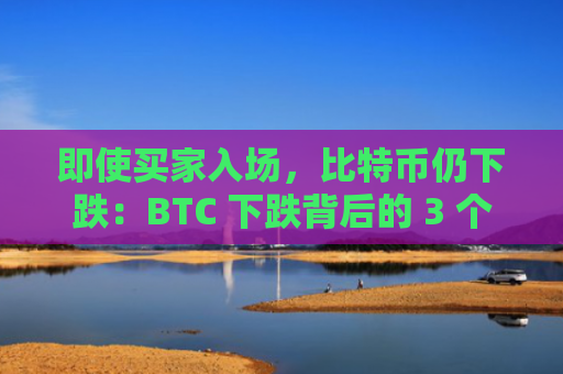 即使买家入场，比特币仍下跌：BTC 下跌背后的 3 个因素