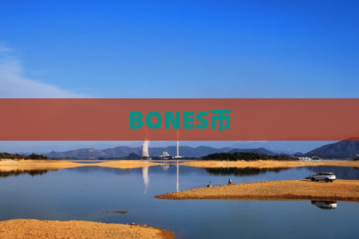 BONES币