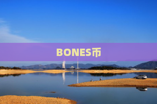 BONES币