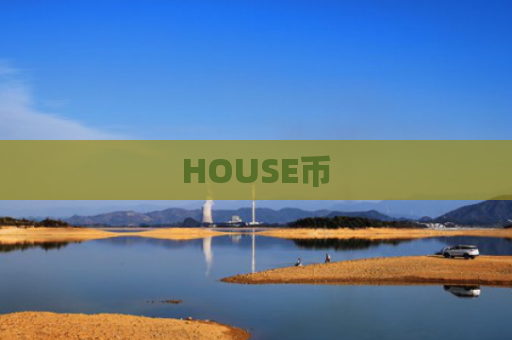 HOUSE币