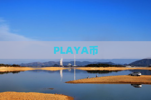 PLAYA币-图1
