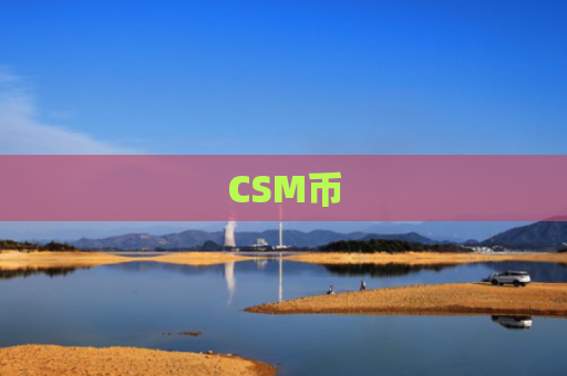 CSM币