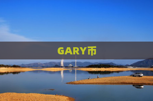 GARY币