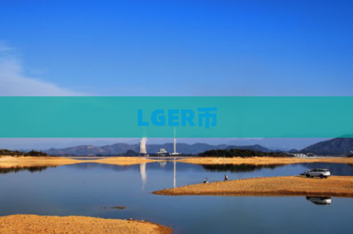 LGER币-图1