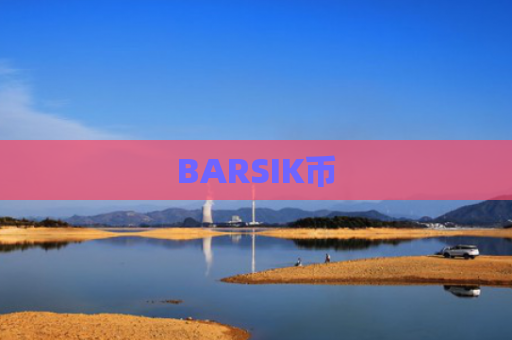 BARSIK币-图1
