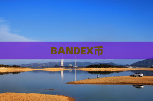 BANDEX币