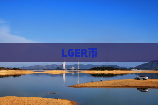 LGER币-图1