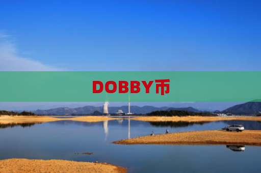 DOBBY币-图1