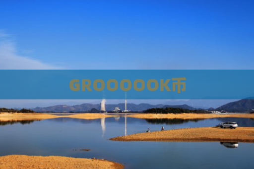 GROOOOOK币