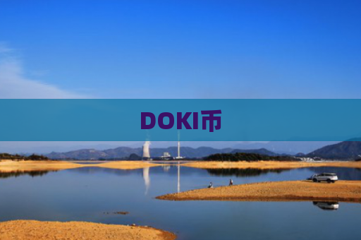 DOKI币
