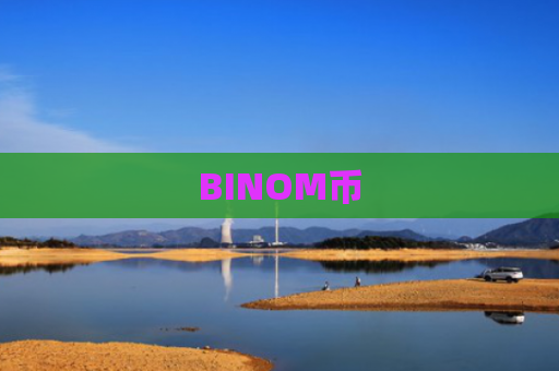 BINOM币-图1
