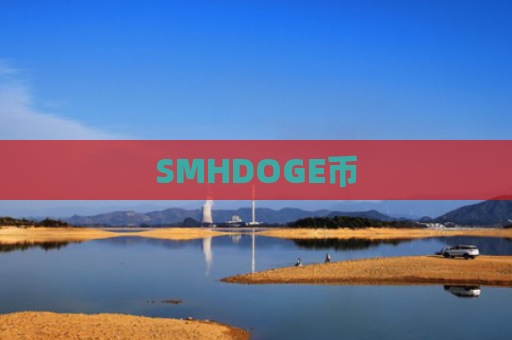 SMHDOGE币-图1