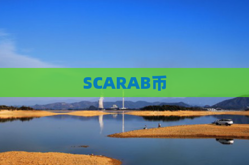 SCARAB币